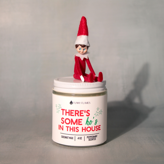 There's Some Ho's In This House 4OZ Xmas Stocking Stuffer