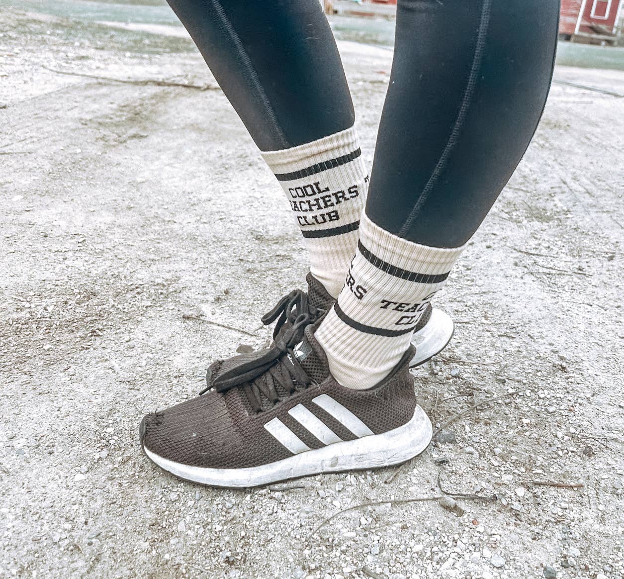 Cool teachers club socks