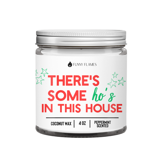 There's Some Ho's In This House 4OZ Xmas Stocking Stuffer